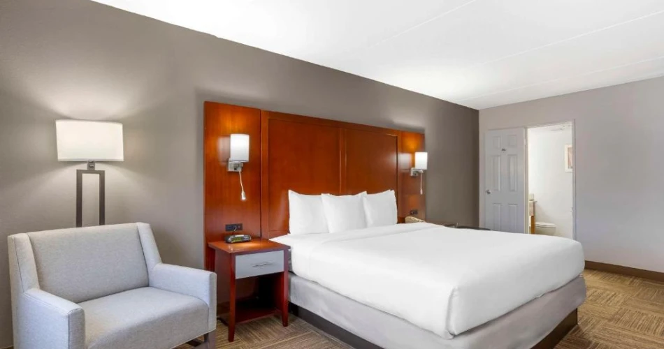 Stay Close to Campus: Top Hotels Near Columbia University, NYC